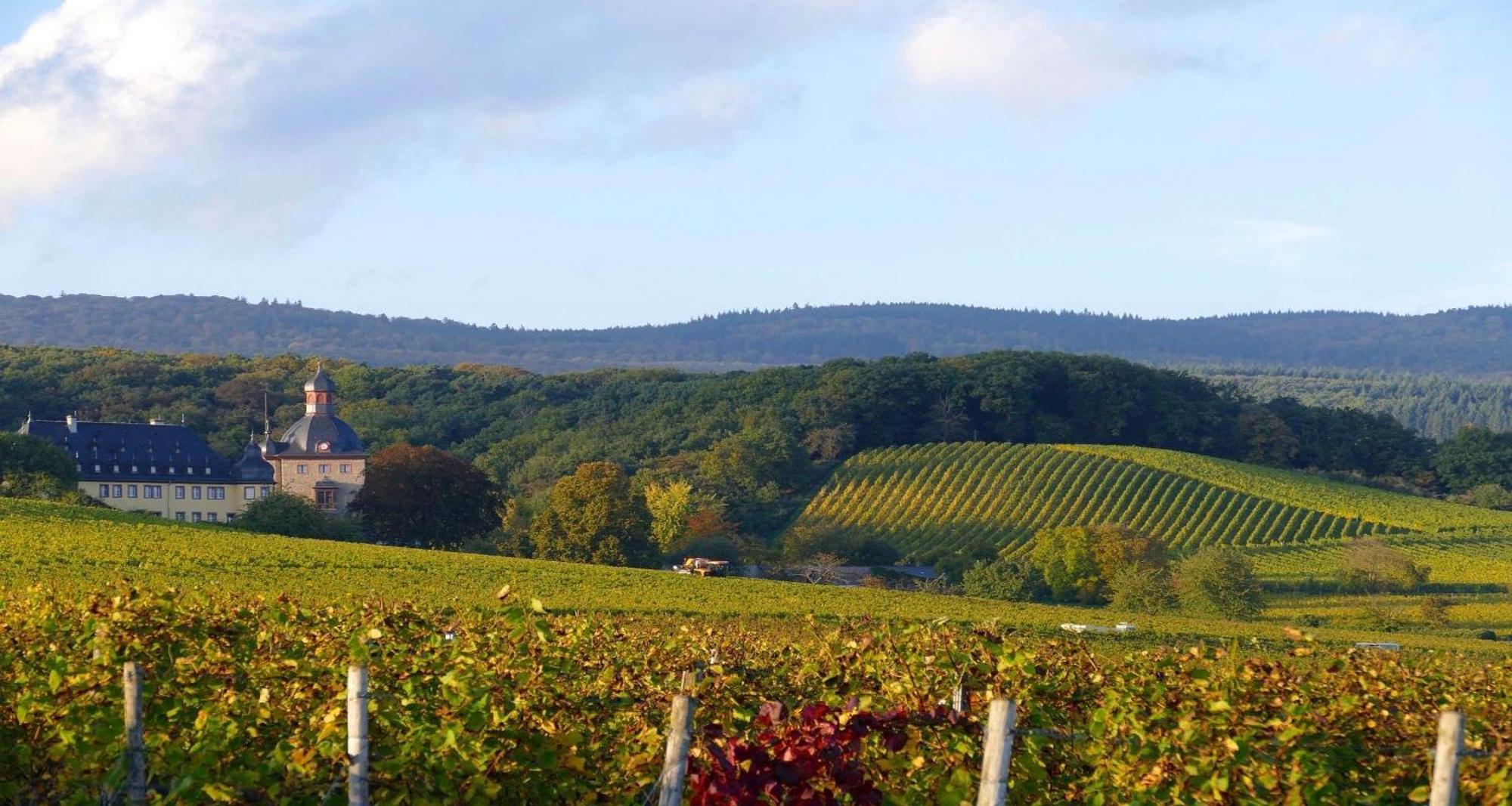 Western Wiesbaden